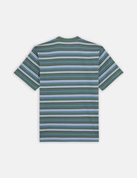Camiseta Dickies Glade Spring Tee S  Verde/Azul hombre