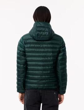 Cazadora Lacoste Blouson Verde hombre