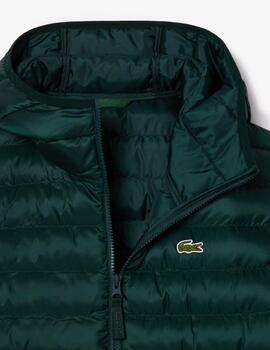 Cazadora Lacoste Blouson Verde hombre