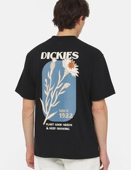 Camiseta Dickies Herndon Tee S Negra Hombre