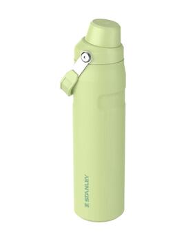 Botella de Agua Stanley 0,6L Limón Unisex